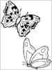 Juegos  mariposas para colorearlas